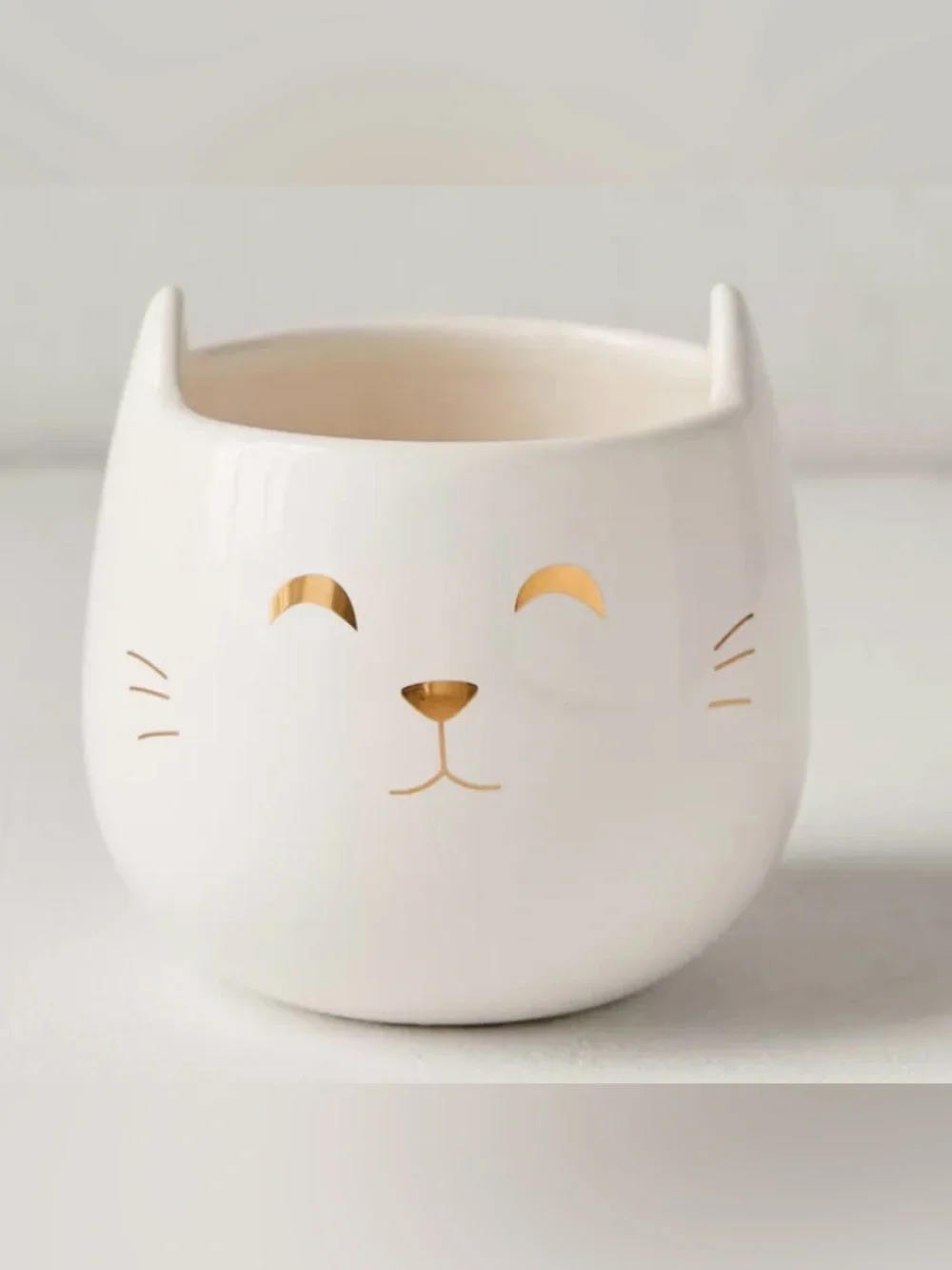 Urban Outfitters purrfect little